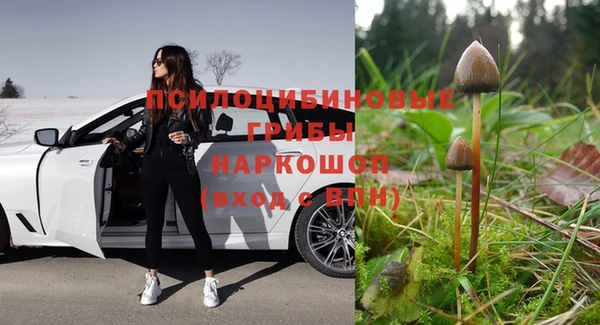 а пвп мука Дмитровск
