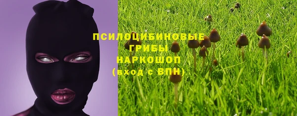 а пвп мука Дмитровск
